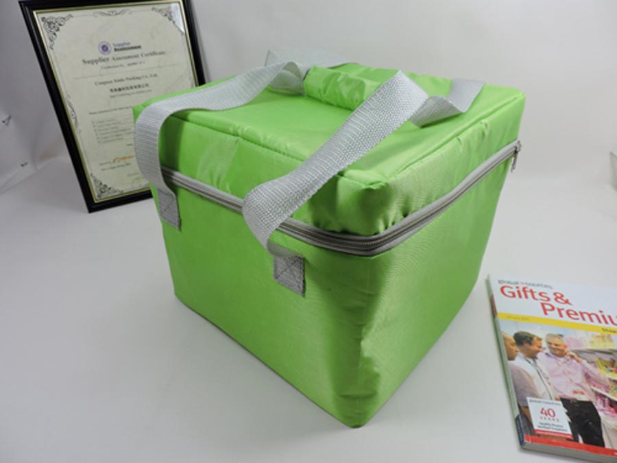 green cooler bag